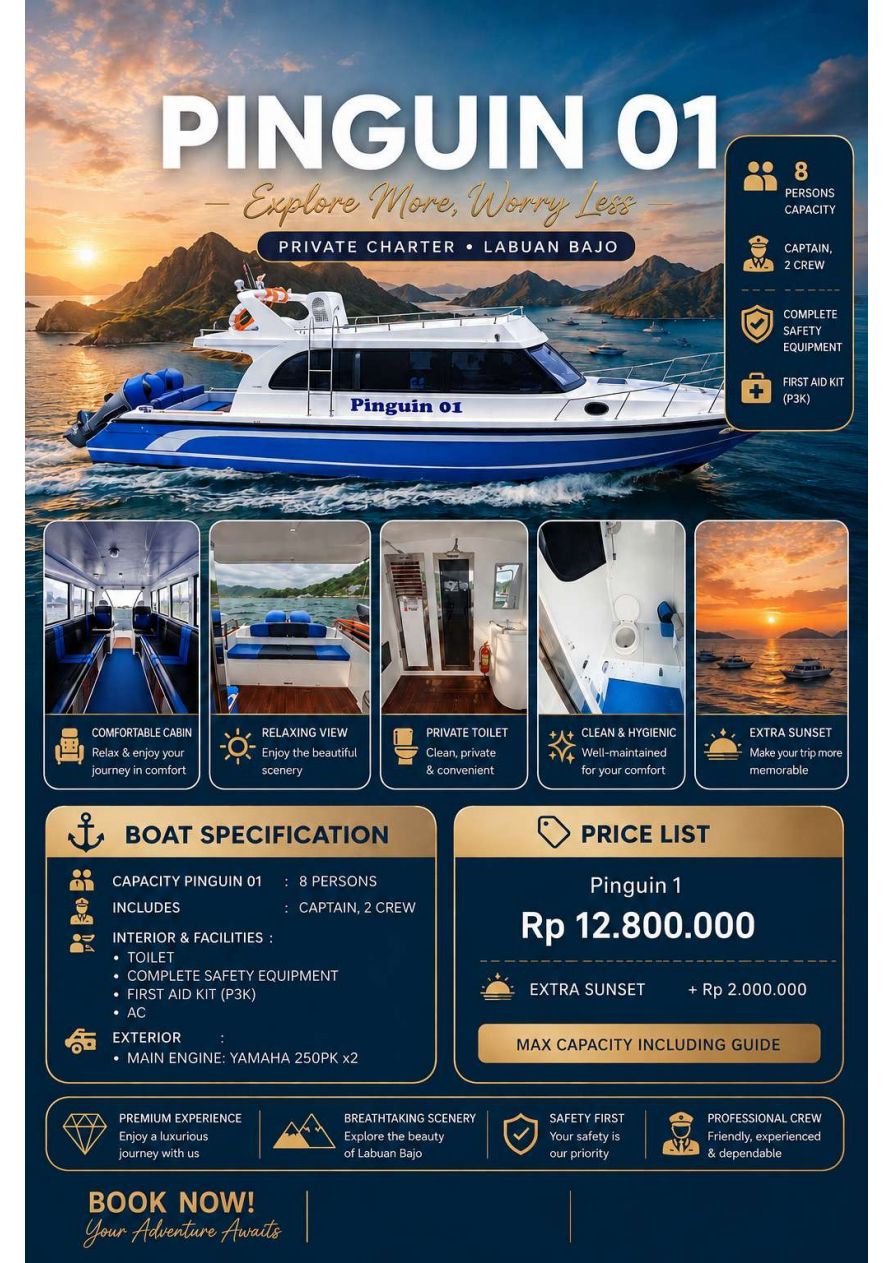 Pinguin 01 flyer — specs and charter prices